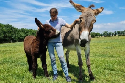 Visite de la ferme - Bonjour La Rochelle