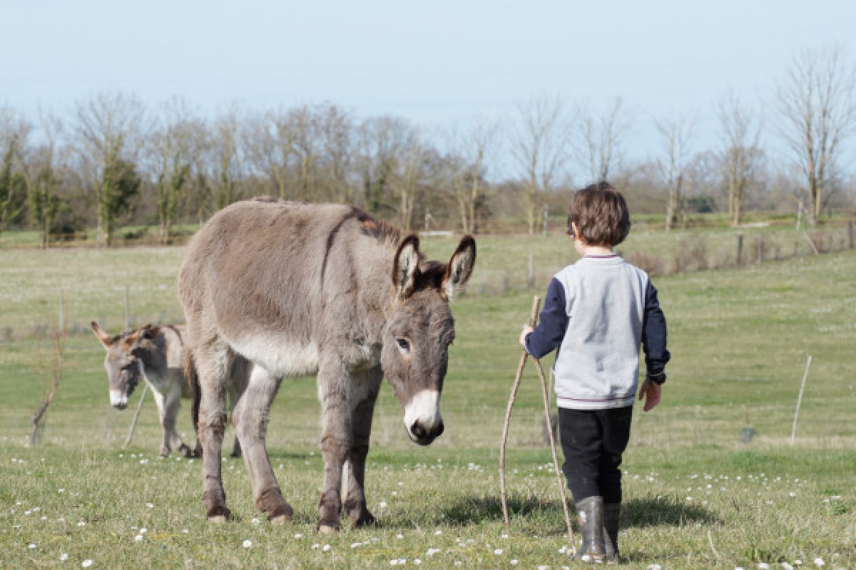 AN'NIVERSAIRE A LA FERME - Bonjour La Rochelle