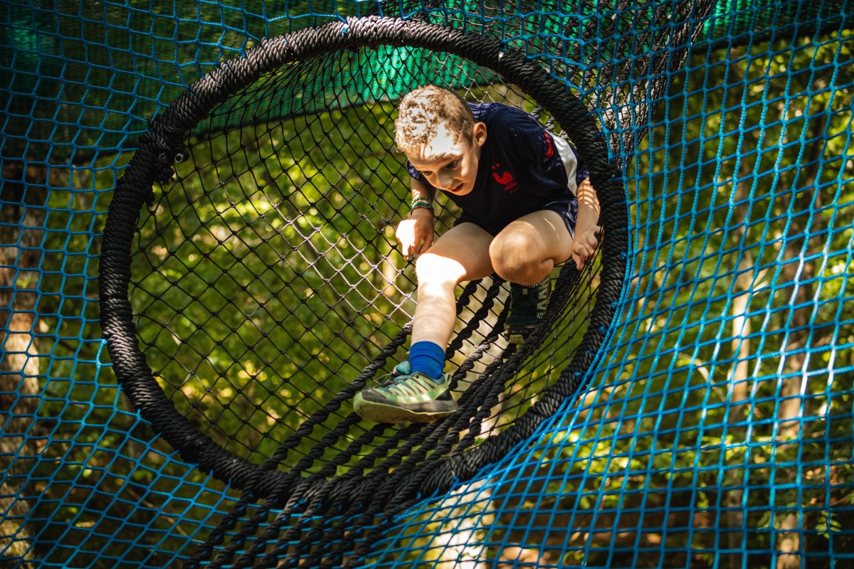 Arbofilets © - Bonjour La Rochelle