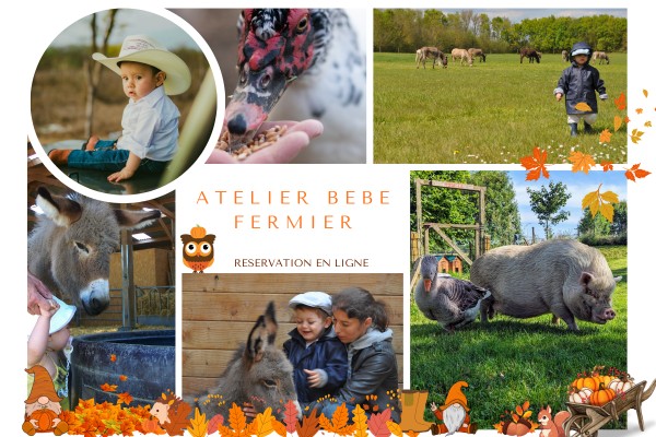 Atelier "BEBE FERMIER" 0-4ans - Bonjour La Rochelle