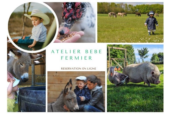 Atelier "BEBE FERMIER" 0-4ans - Bonjour La Rochelle