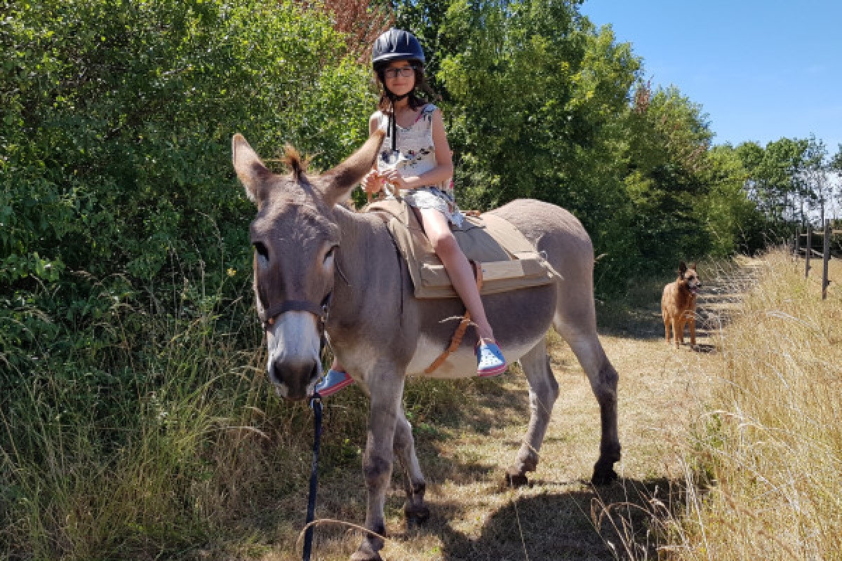Atelier "Petit fermier" 4-10 ans - Bonjour La Rochelle
