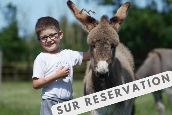 Visite de la ferme - Bonjour La Rochelle