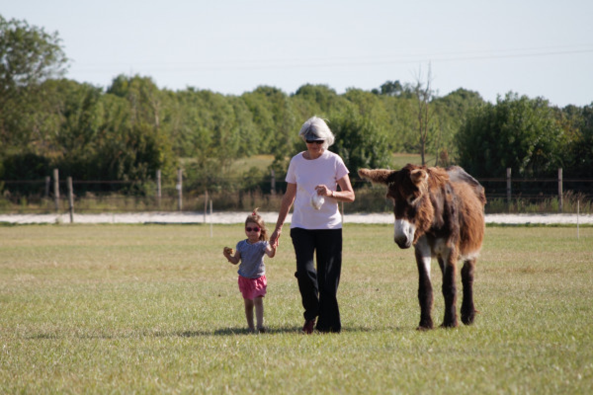 Visite de la ferme - Bonjour La Rochelle